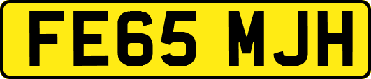 FE65MJH