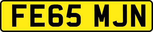 FE65MJN