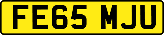 FE65MJU