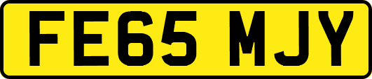 FE65MJY