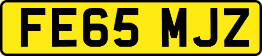 FE65MJZ