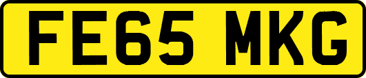 FE65MKG