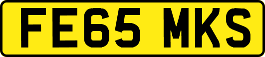FE65MKS