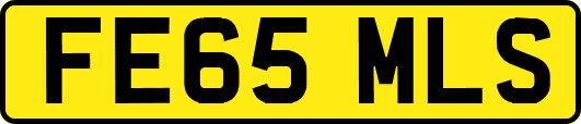 FE65MLS