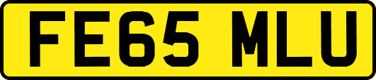 FE65MLU