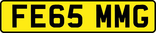 FE65MMG