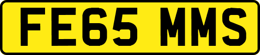 FE65MMS