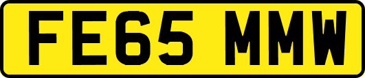 FE65MMW