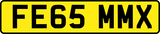 FE65MMX