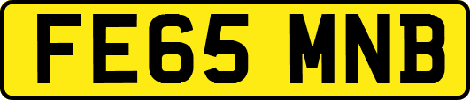 FE65MNB