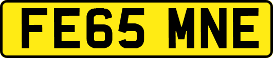 FE65MNE