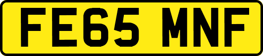 FE65MNF