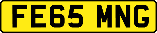 FE65MNG