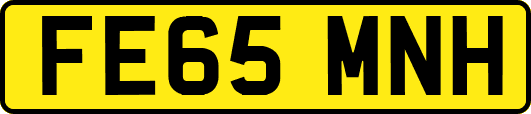 FE65MNH