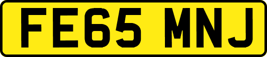 FE65MNJ