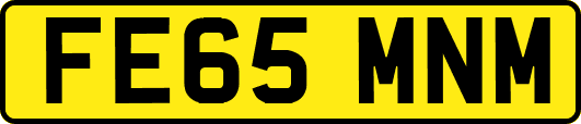 FE65MNM