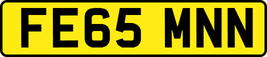 FE65MNN
