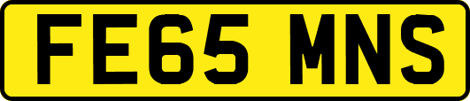 FE65MNS