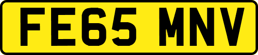 FE65MNV
