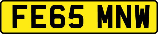 FE65MNW