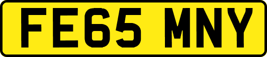 FE65MNY