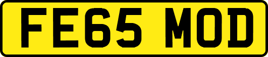 FE65MOD