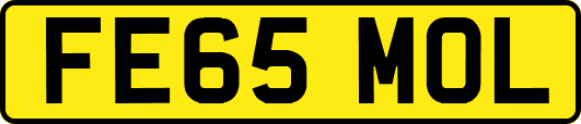 FE65MOL