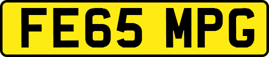 FE65MPG