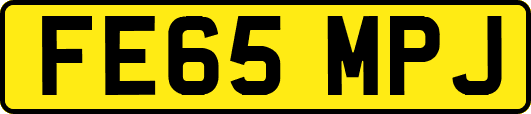 FE65MPJ