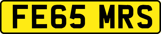 FE65MRS