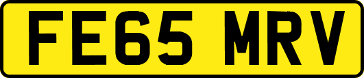 FE65MRV