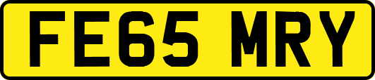 FE65MRY