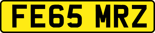 FE65MRZ