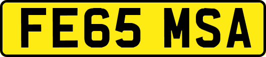 FE65MSA