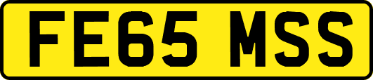 FE65MSS