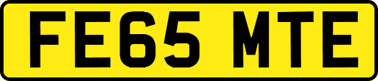 FE65MTE