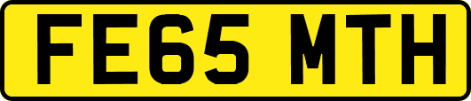 FE65MTH