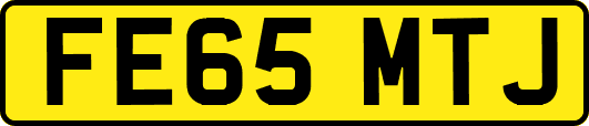 FE65MTJ