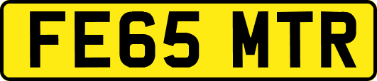 FE65MTR