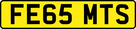 FE65MTS