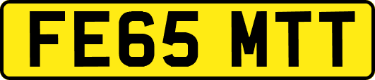 FE65MTT