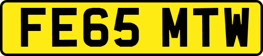 FE65MTW