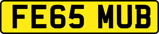 FE65MUB
