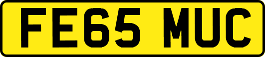 FE65MUC