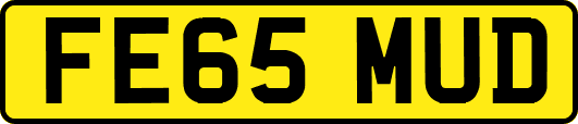 FE65MUD