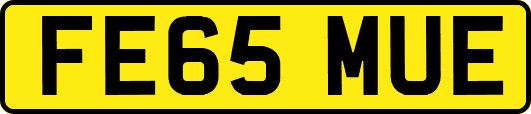 FE65MUE