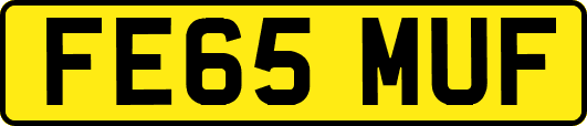 FE65MUF