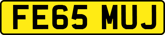 FE65MUJ