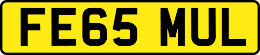 FE65MUL