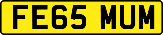 FE65MUM